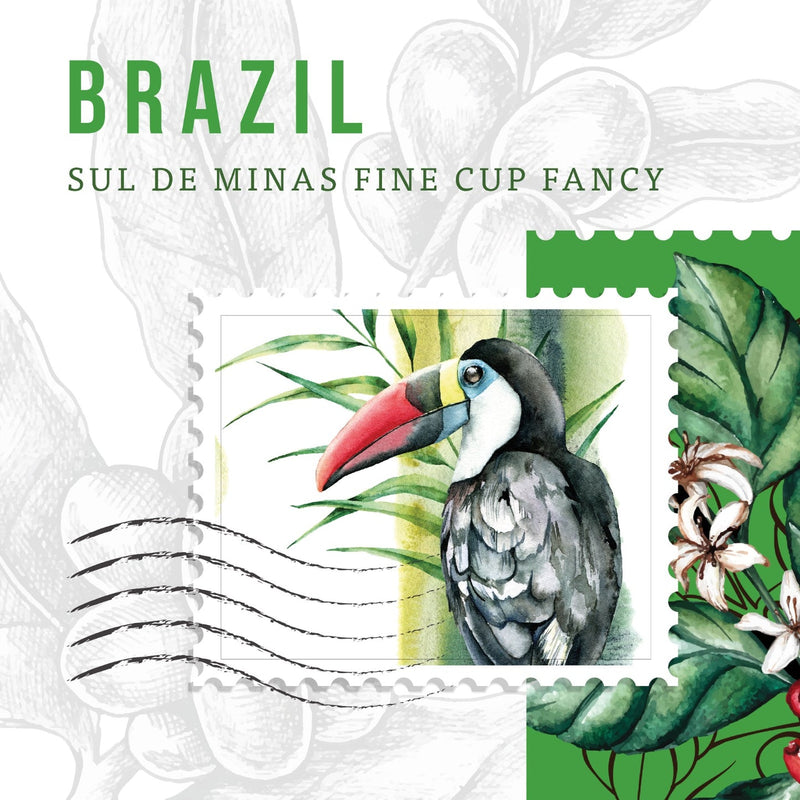 Brazil Coffee Beans – Strong Espresso Coffee