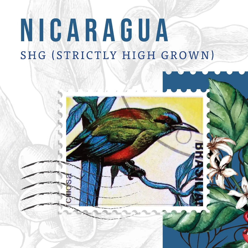 Nicaragua Coffee Beans – Rich & Smooth Coffe