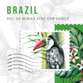 Brazil Coffee Beans – Strong Espresso Coffee