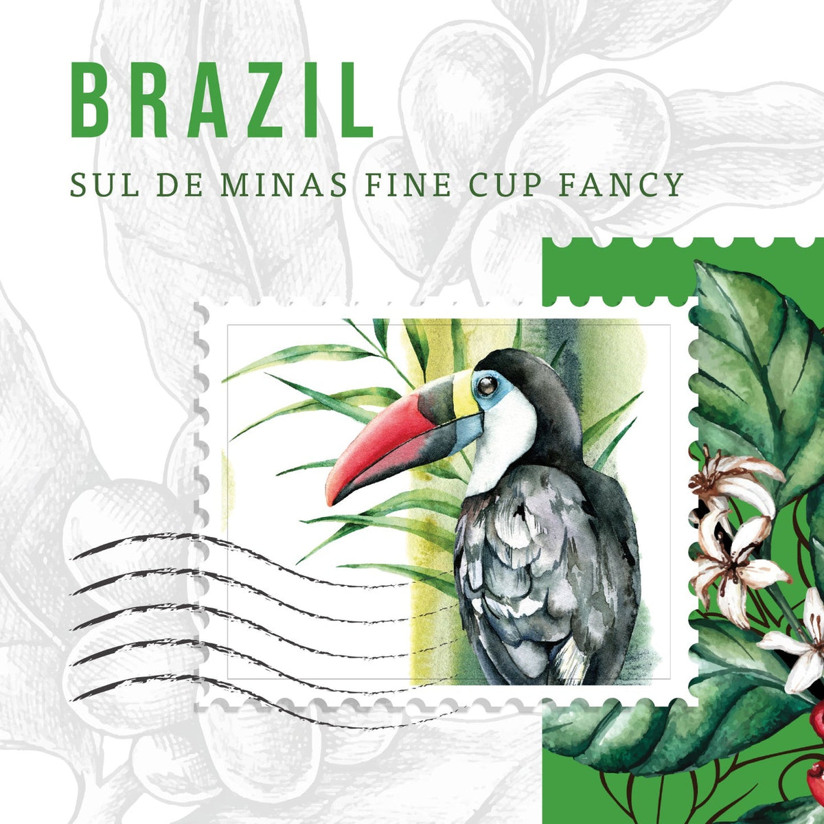 Brazil Coffee Beans – Strong Espresso Coffee