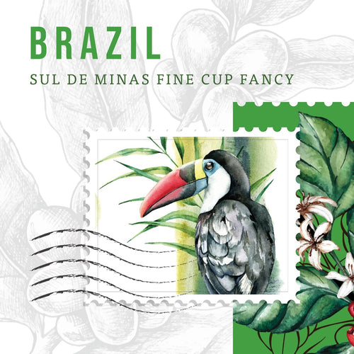 Brazil Coffee Beans – Strong Espresso Coffee