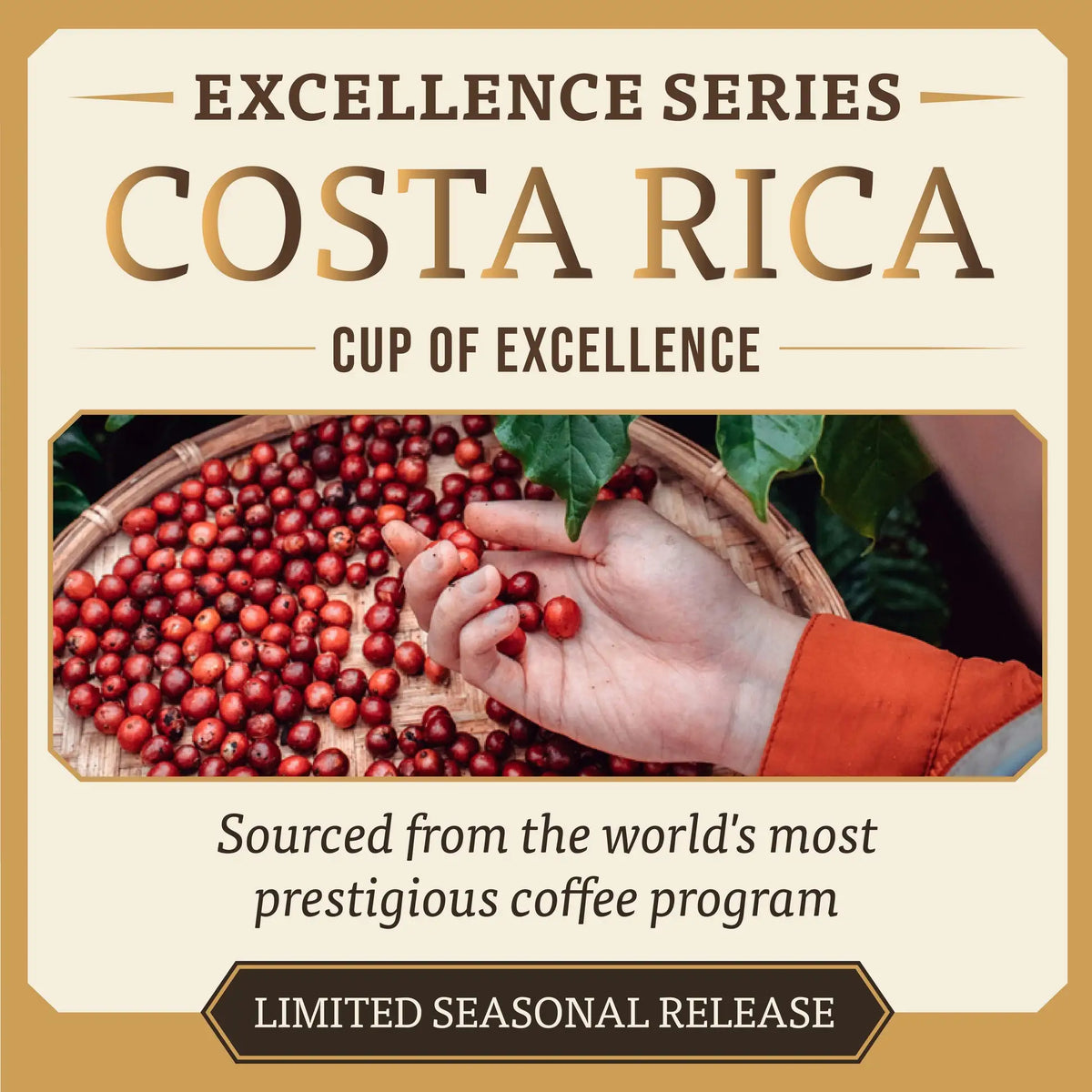 Cup of Excellence Costa Rica