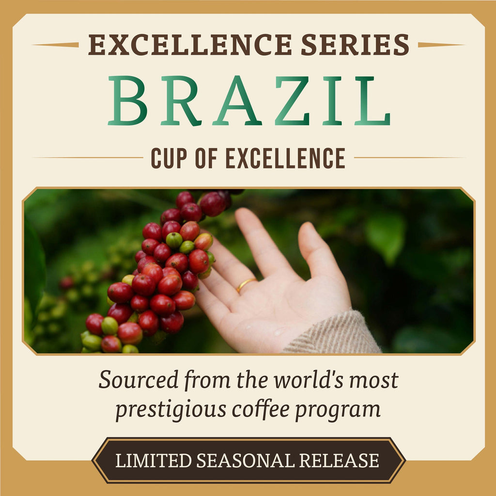 Cup of Excellence #4 Brazil – Chapada Diamantina