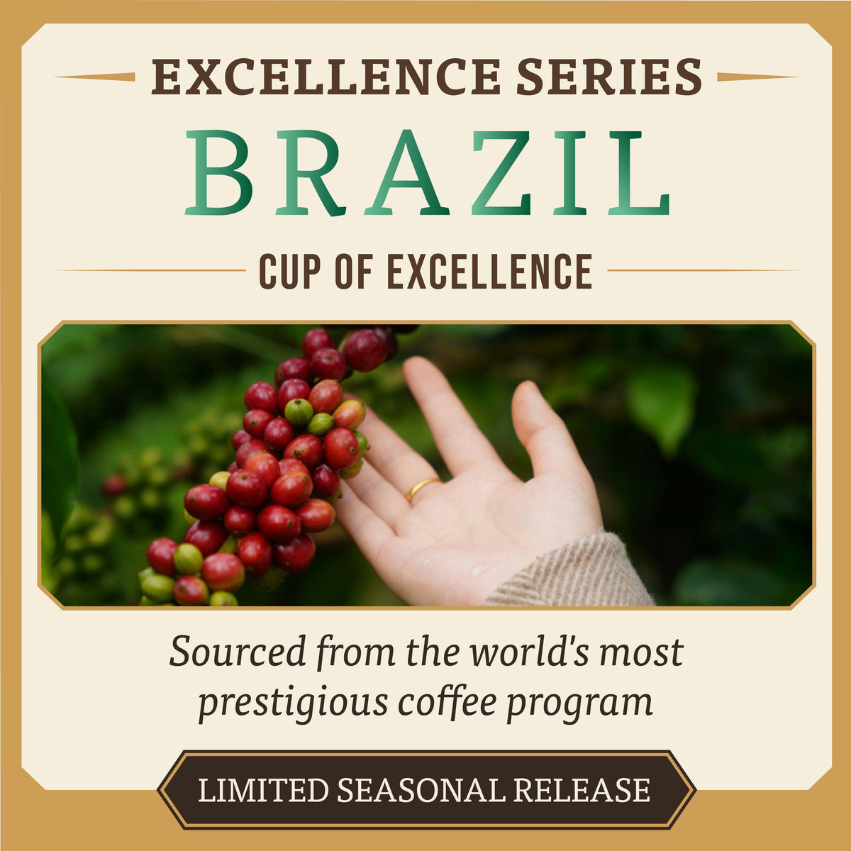 Cup of Excellence Brazil – Triple Finalist Selection