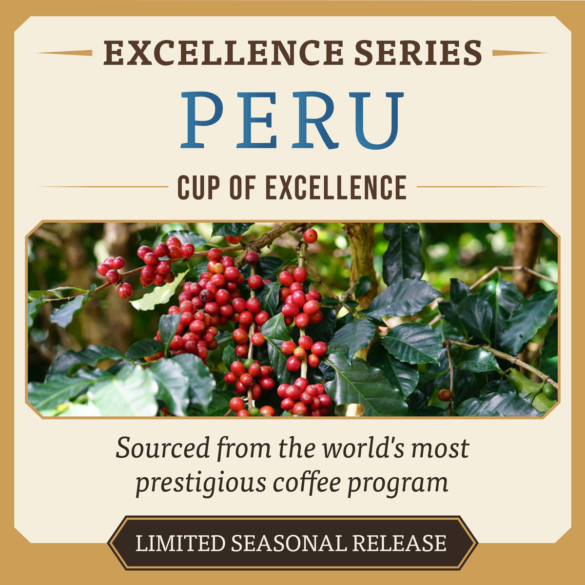 Cup of Excellence Peru – Bourbon Heritage Selection