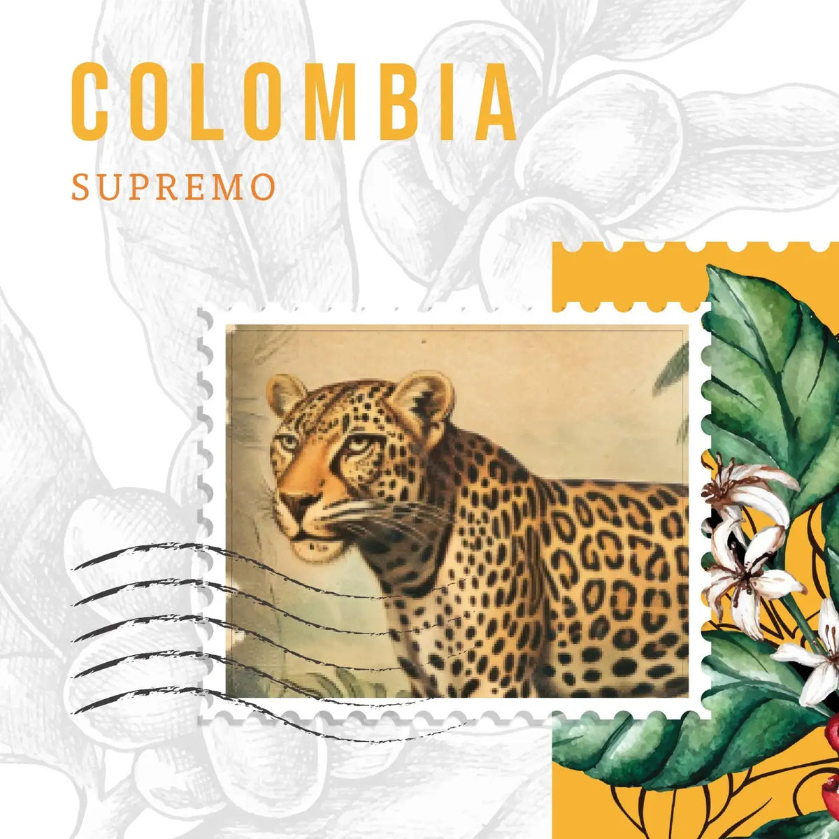 Colombia Coffee Beans – Balanced Specialty Coffee