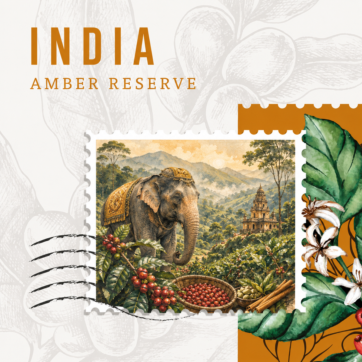 India Amber Reserve – قهوة أرابيكا مغسولة
