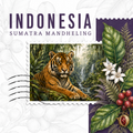 Organic North Sumatra Specialty Coffee – Rich, Bold & Unmistakably Sumatran
