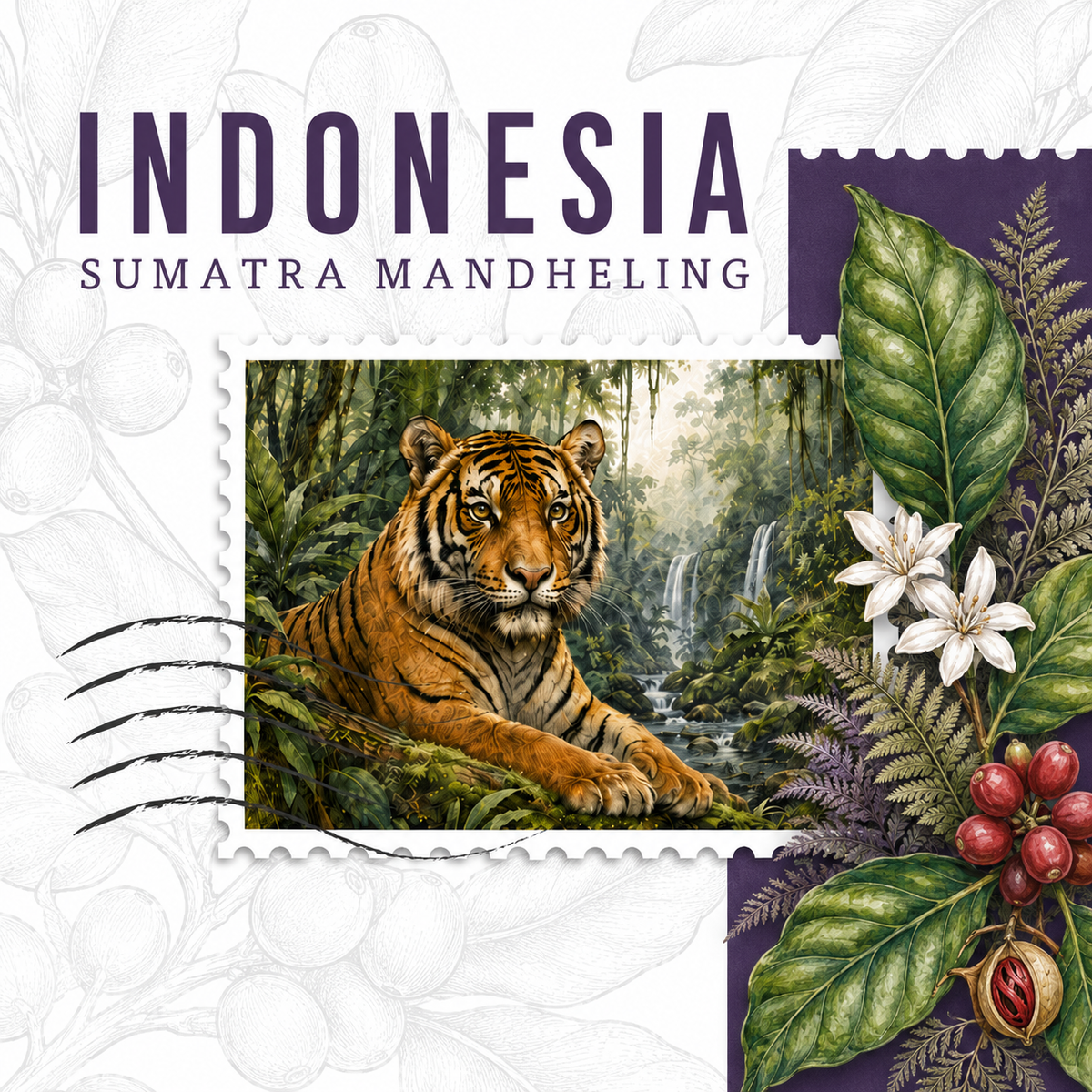 Organic North Sumatra Specialty Coffee – Rich, Bold & Unmistakably Sumatran