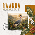 Rwanda Aureate Crest — قهوة Red Bourbon عسلية