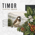 Timor Sental Ember