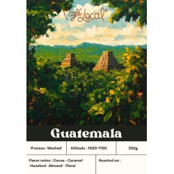 Guatemala Bourbon Catuai 