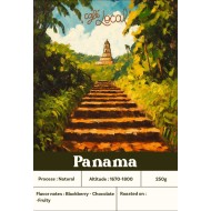 Panama – Finca Bambito red catuai 