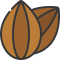 Hazelnut