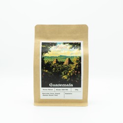 Guatemala Bourbon Catuai 