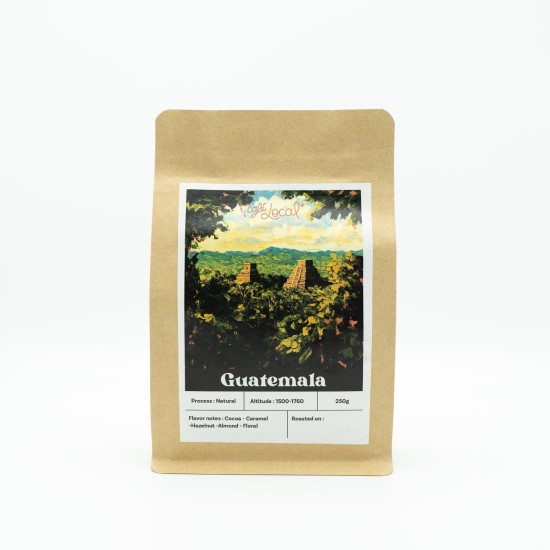 Guatemala Bourbon Catuai 