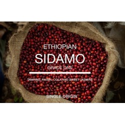 Ethiopian Sidamo 
