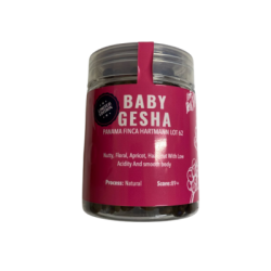 Baby Gesha Panama Fica Lot 62 