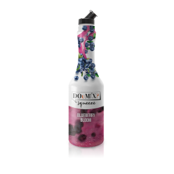 Squeeze Blueberry Bloom