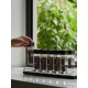 MUVNA Coffee Bean Cellars with Stand & Hopper 6 Tubes and 12 Tubes