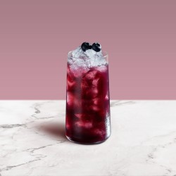 SYRUP EARL GREY TEA 