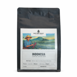 Indonesia-Sumatra Garuda Aceh