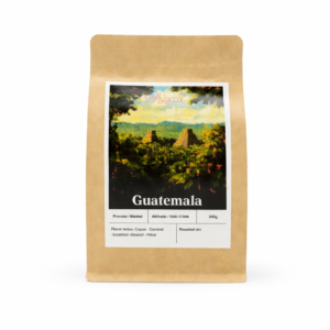 Guatemala Bourbon Catuai