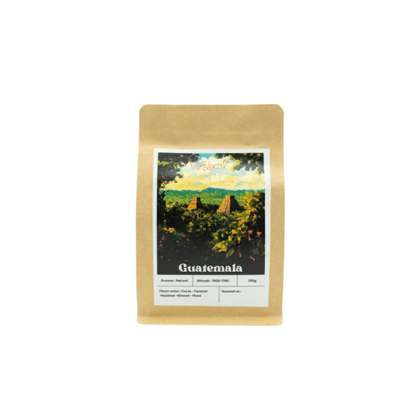 Guatemala Bourbon Catuai