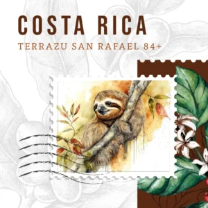 Costa Rica Coffee Beans – Clean & Balanced Coffee