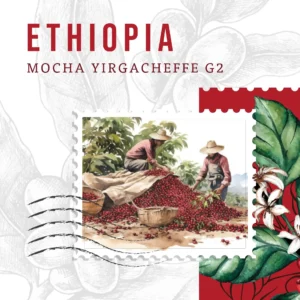 Ethiopia Coffee Beans – Floral & Fruity Filter Coffee